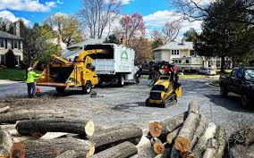 Best Tree Maintenance Programs  in Greensboro, MD